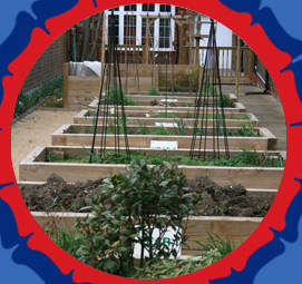 Rosetta Primary School